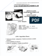 Articulação Temporomandibular