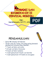 1 Cervical Region