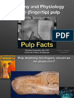 Anatomy Physiology Pulp