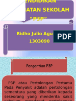 PP P3P