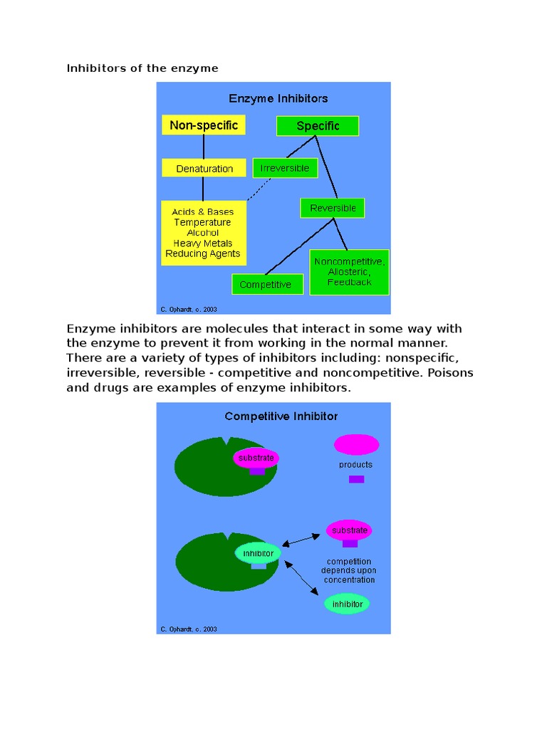 Inhibitors of the Enzyme Enzyme Inhibitor Active Site