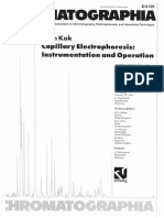 Extra Info - Capillary Electrophoresis