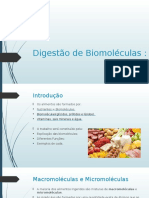 Digestão de Biomoléculas: Glícidos, Prótidos e Lípidos