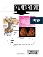 Endokrin Metabolisme