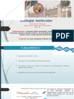 Biologia Molecular PCR