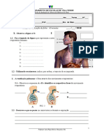 FAV-respiração e Circulação