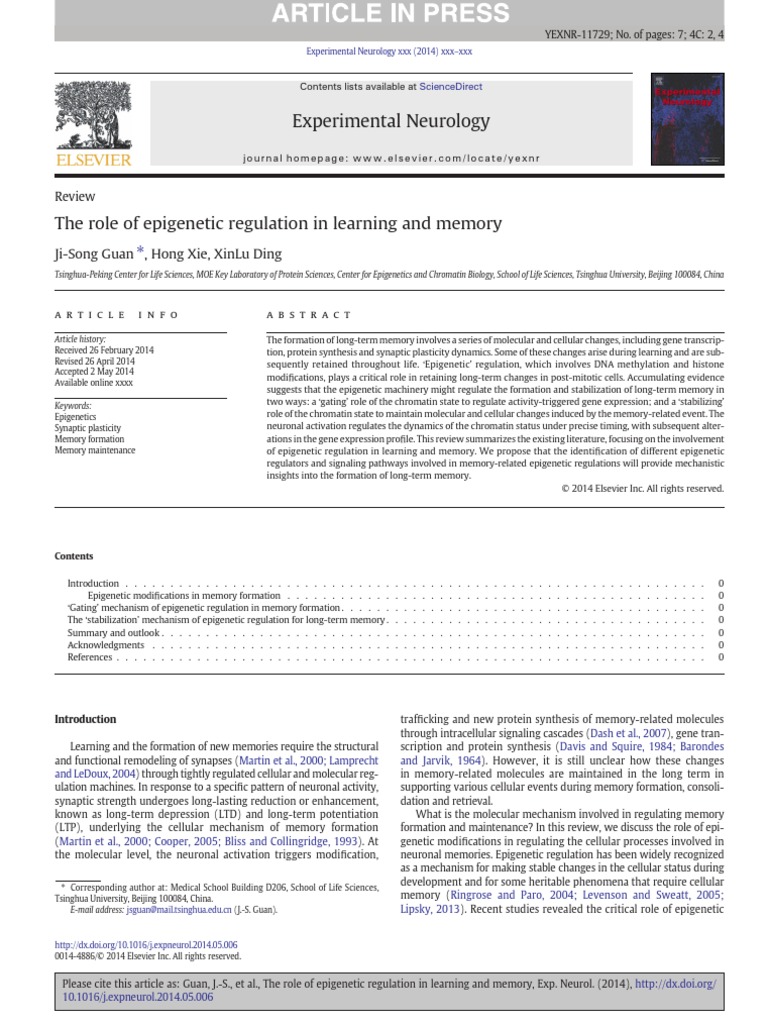 The Role of Epigenetic Regulation in Learning and Memory PDF | PDF