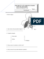 Ficha de Avaliação Circulação Do Ar