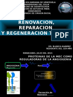 Patologica Reparacion, Regeneracion