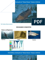 Peixes Osseos Atuais e Extintos PDF