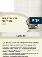 Adaptacion Cultural Presentacion