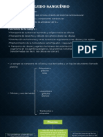 Histología tejido sanguineo