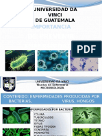 Enfermedades Mas Comunes Causadas Por Bacterias, Virus y Hongos - Microbiologia Arreglado