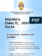 Bioquimica de La Pulpa Dental Grupo