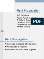 Plant Propagation