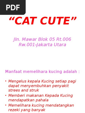 CAT CUTE Isty  PDF