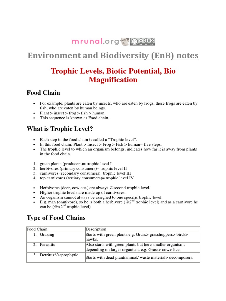 Understanding Trophic Levels and Energy Flow | PDF | Science ...