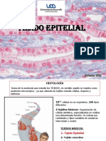 Clase 2. Tejido Epitelial PDF