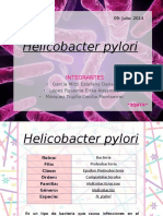 Helicobacter Pylory