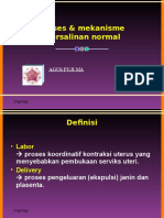 5. Proses & Mekanisme Persalinan Normal_WDD
