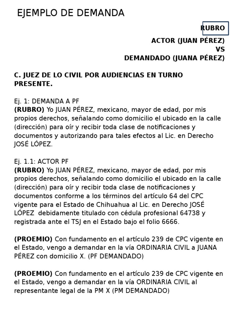 Ejemplo de Demanda | PDF | Información del gobierno | Instituciones