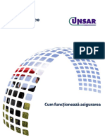 Cum-functioneaza-asigurarea_romana.pdf