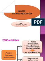 Promosi Kesehatan