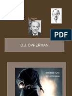 Man Met Flits D. J. Opperman