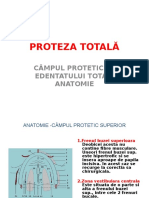 Anatomie Camp Protetic