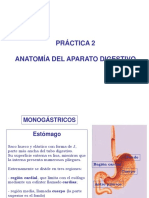 Práctica 2. - Anatomia Del Aparato Digestivo