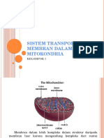 Sistem Transpor Membran Dalam Mitokondria