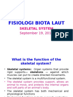 Sea's Organism Sceletal System