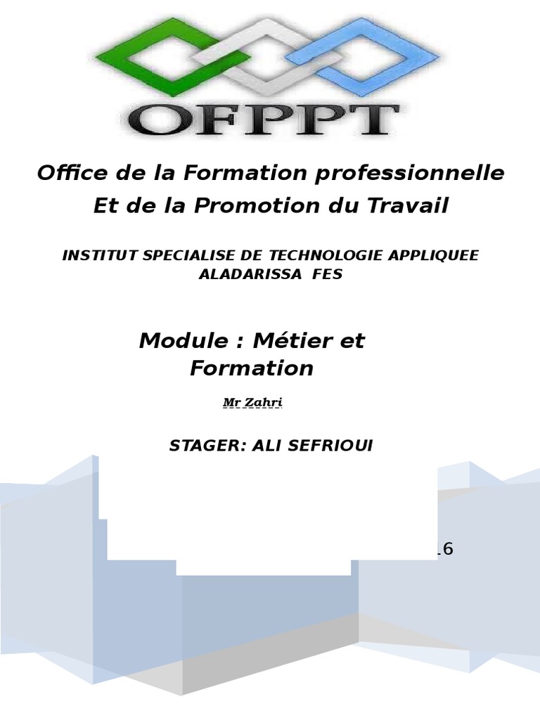 Rapport Métier Et Formation TRI | PDF | Programmeur | Informatique