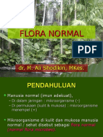 Flora Normal DR Ali Shodikin