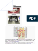 Dentitie