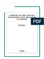 Bundi A Report On The VSP Processing Data From The CSI SURVEY