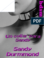 Un collar para Sandy