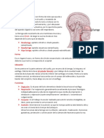 Qué es la faringe.pdf