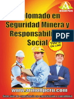 Diplomado en Seguridad Minera y Responsabilidad Social