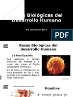 Semana04 - S1 - Bases Biologicas Del Desarrollo Humano