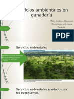 Servicios Ambientales en Ganadería 