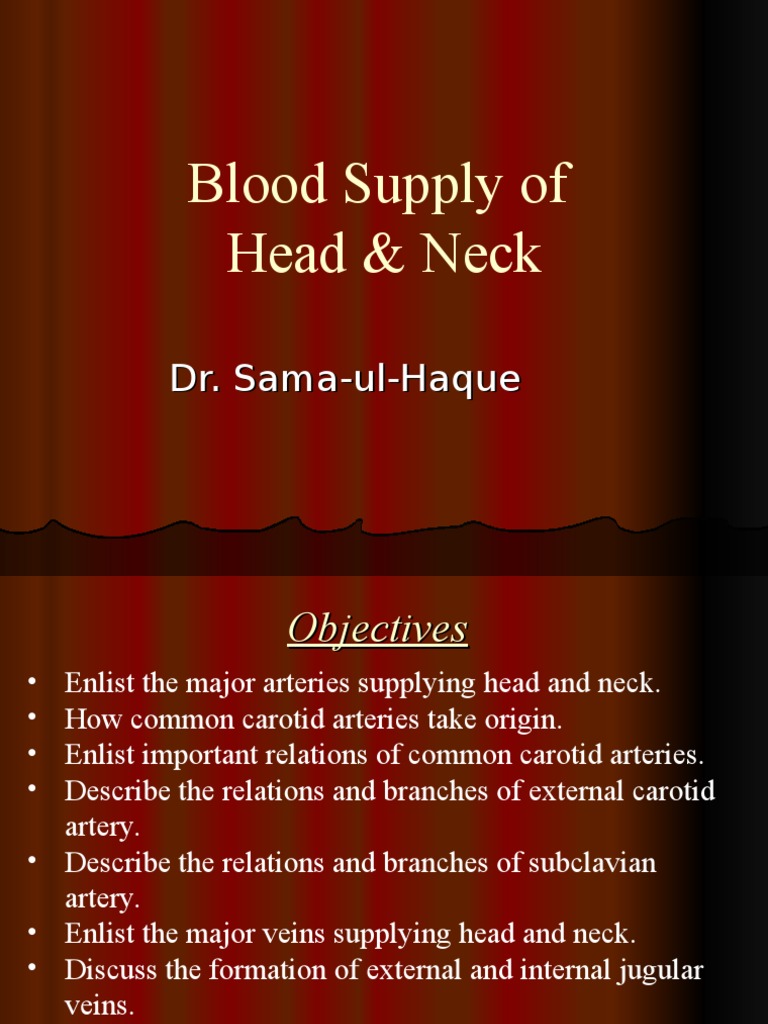 Blood Supply of Head and Neck | PDF | Common Carotid Artery | Neck