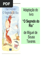 O Segredo Do Rio