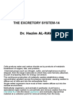 The Excretory System-14 Dr. Hazim AL-RAWI