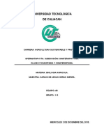 Clases Cycadopsida y Coniferopsida