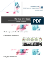 Meiose e Mitose PDF