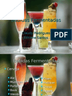 Bebidas Fermentadas