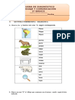 Prueba Diagnostico Lenguaje