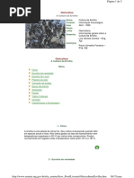 A Cultura Da Ervilha