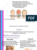 Patologías Del Pene 
